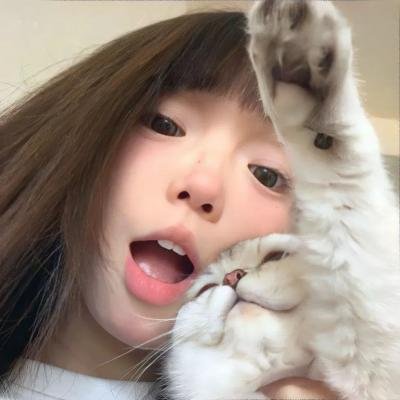 雪豹之暗战天机